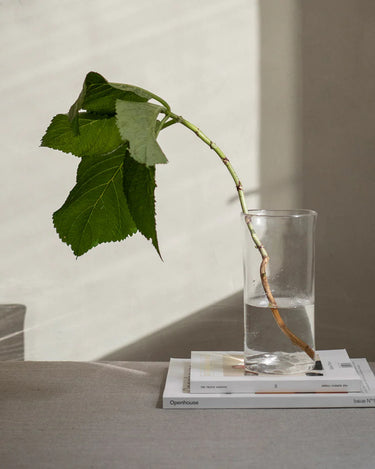 0405 Vase | Clear