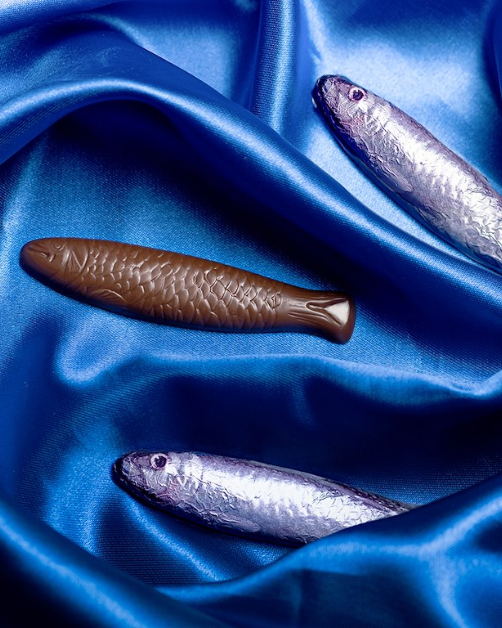 Chocolate Sardines | Tin