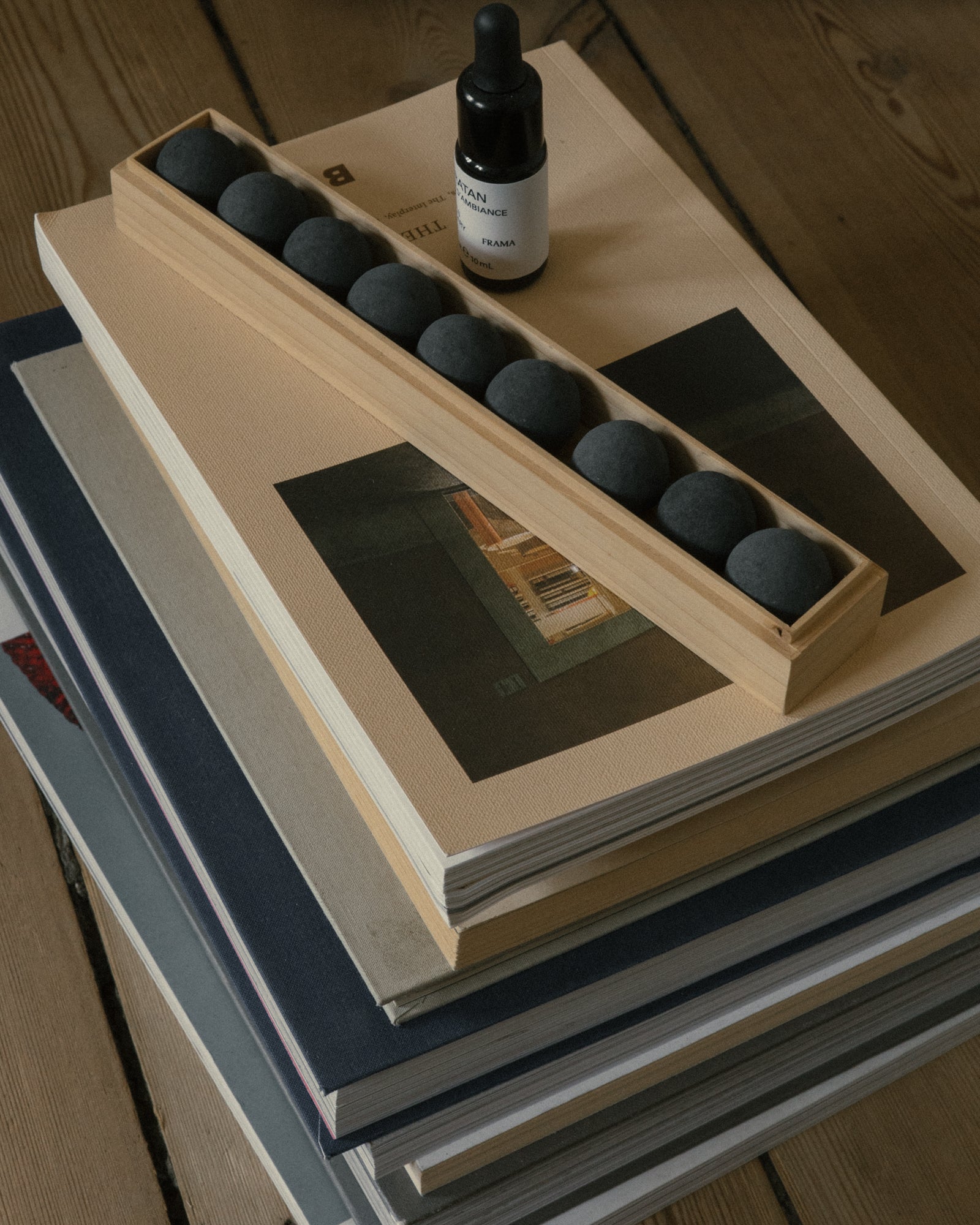 From Soil to Form | Charcoal | Deep Forest