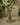 Vase | Small