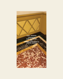 Organic Cardamom Chocolate