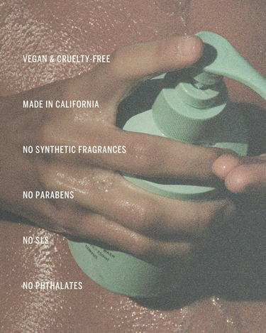 Body Wash | Santalum