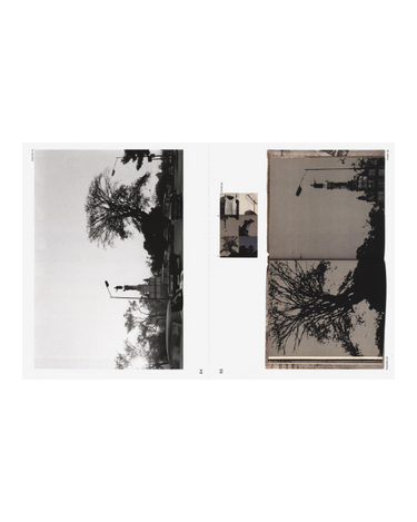 Deconstructing Sistema Nervioso | Lange, Brandli & Chalbaud