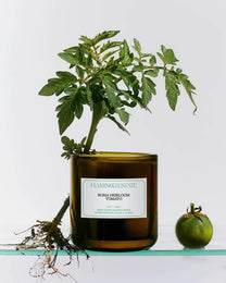 Roma Heirloom Tomato Candle