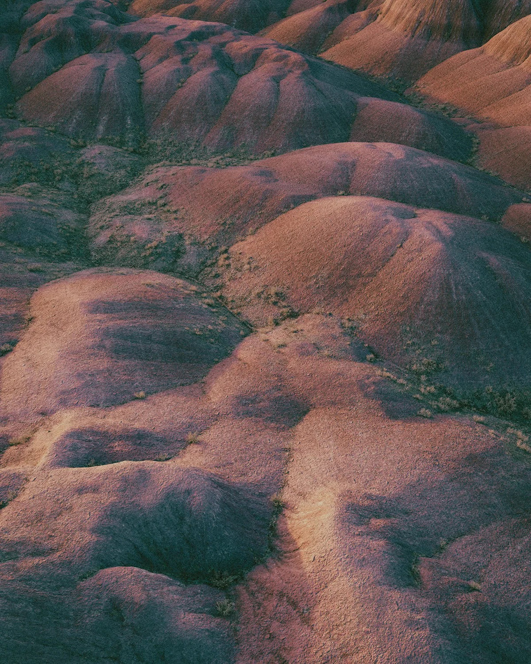 Perfume Oil | Painted Desert | 10 ml