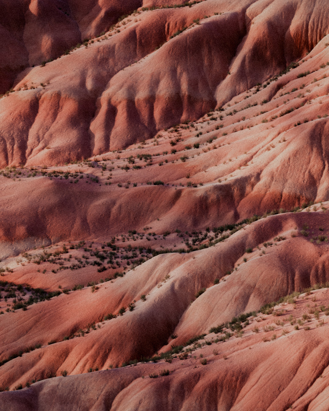 Essential Oil Dropper | Painted Desert | 10 ml