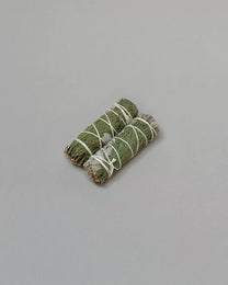 Herbal White Sage Smudge Stick | Cedar