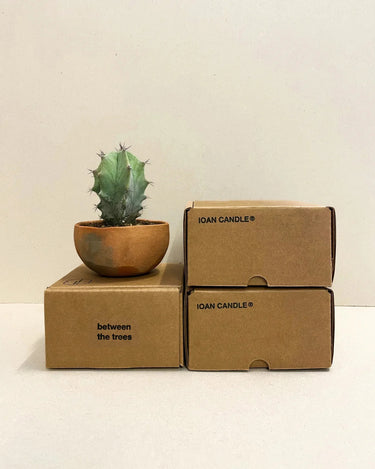 IOAN Candle | Joshua Flower