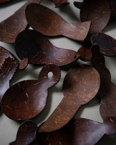 Coconut Shell Spoon | 04