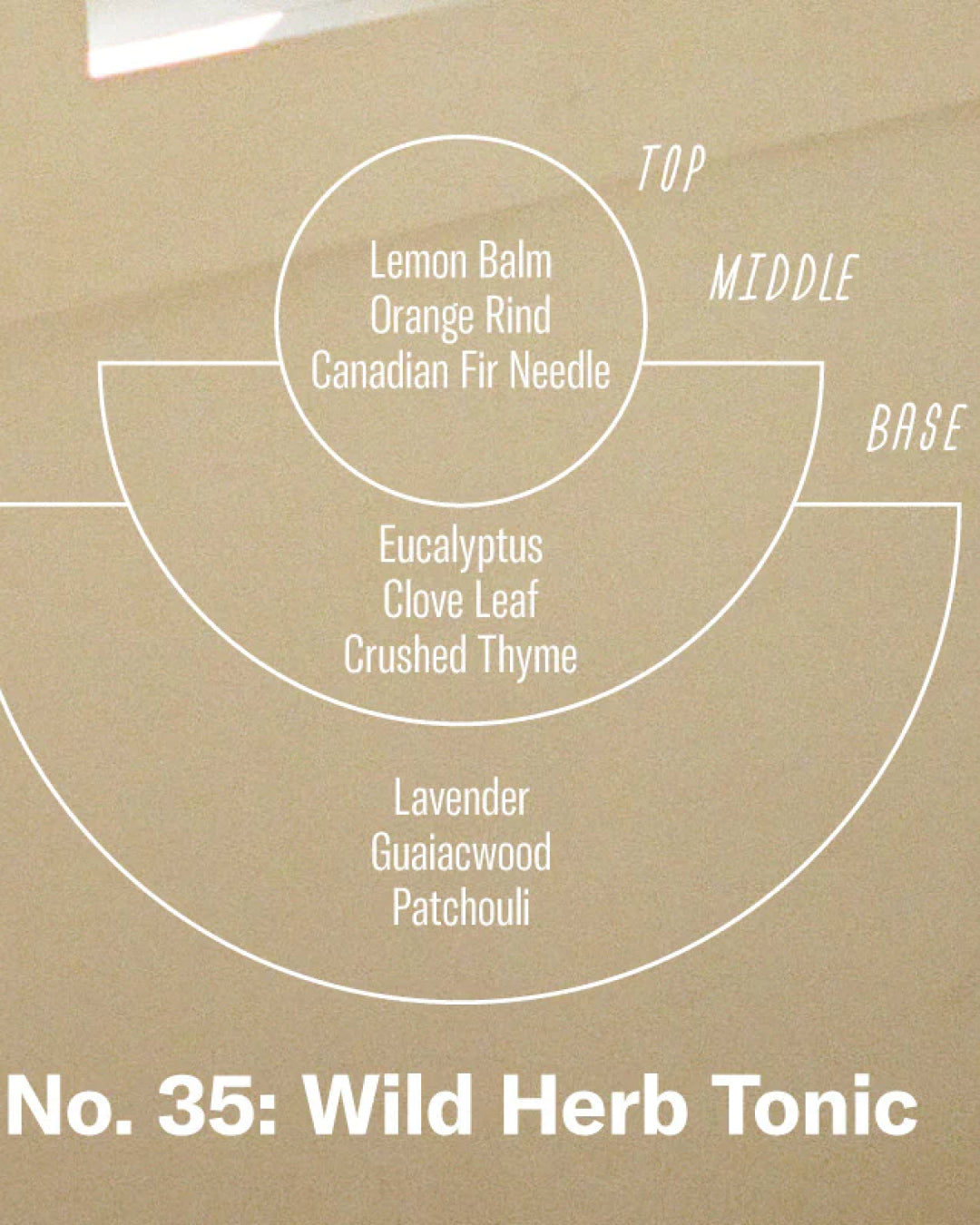 Reed Diffuser | Wild Herb Tonic
